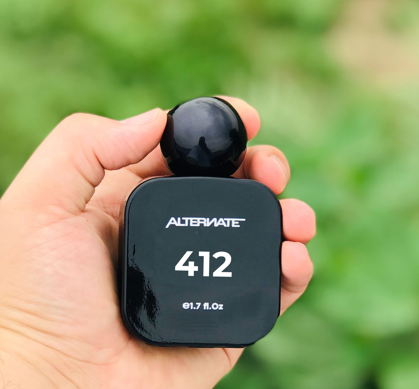 412 - Alternate Of Classic Black Jaguar